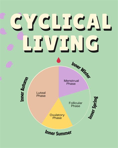 Menstrual Cycle Coach & Cyclical Living .